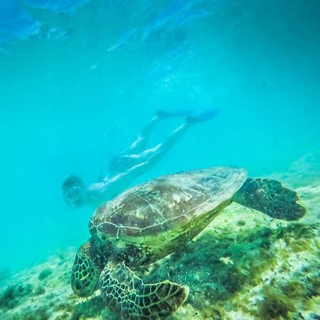 Tailua Beach Fales Manase Bagian luar foto